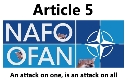 NAFO-article-5