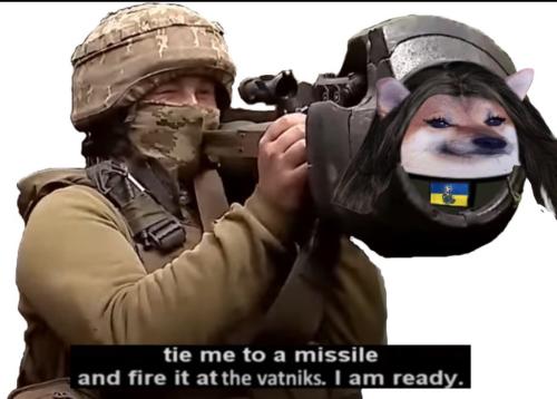 NAFO-missile