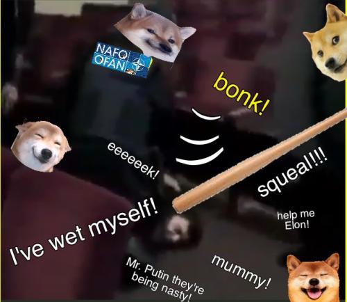 nafo-bonk